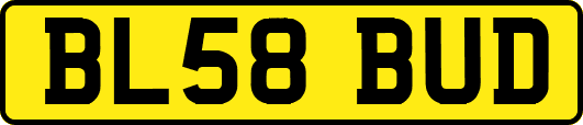 BL58BUD