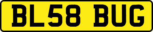 BL58BUG