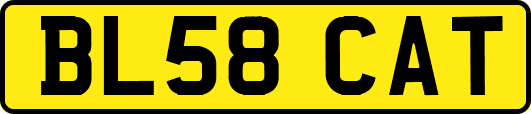 BL58CAT