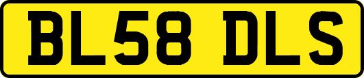 BL58DLS