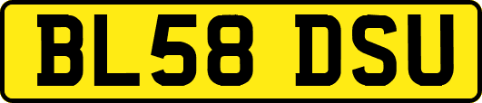 BL58DSU