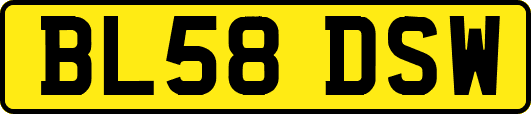 BL58DSW