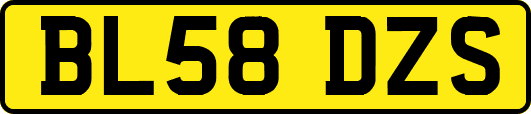 BL58DZS