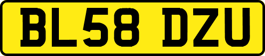 BL58DZU
