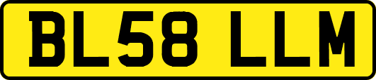 BL58LLM