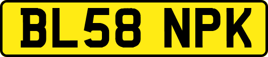 BL58NPK