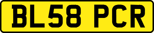 BL58PCR