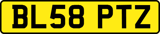 BL58PTZ