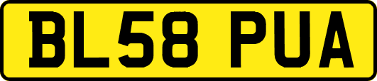 BL58PUA