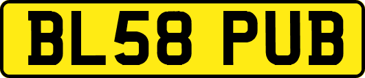 BL58PUB