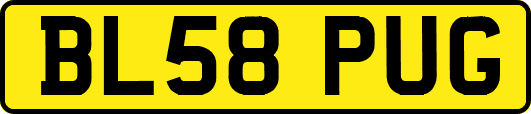 BL58PUG