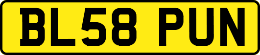 BL58PUN