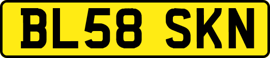 BL58SKN