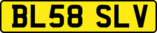 BL58SLV