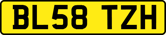 BL58TZH