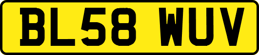 BL58WUV