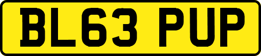BL63PUP