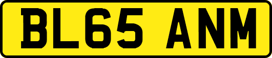 BL65ANM