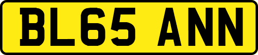BL65ANN