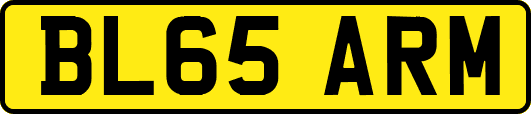 BL65ARM