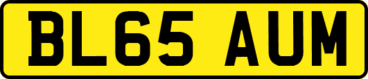 BL65AUM