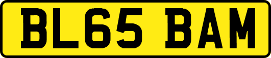 BL65BAM