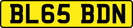 BL65BDN