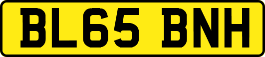 BL65BNH