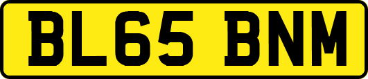 BL65BNM