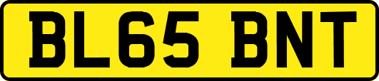 BL65BNT