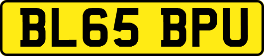 BL65BPU