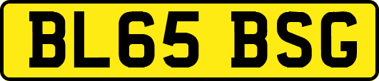 BL65BSG