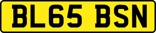 BL65BSN
