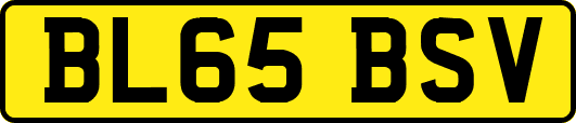 BL65BSV