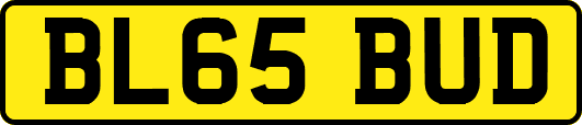 BL65BUD