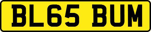BL65BUM