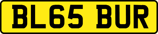 BL65BUR