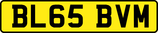 BL65BVM
