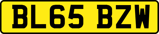 BL65BZW