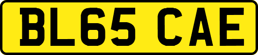 BL65CAE
