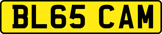 BL65CAM