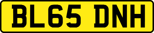 BL65DNH