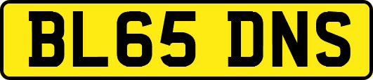 BL65DNS
