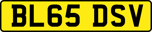 BL65DSV