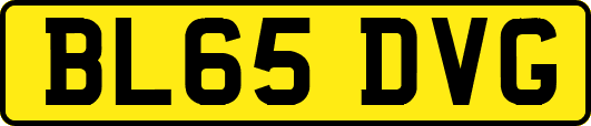 BL65DVG
