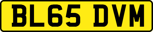 BL65DVM