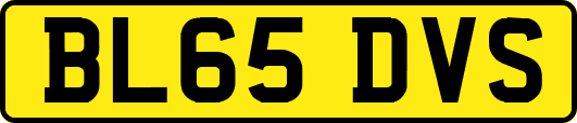 BL65DVS