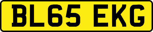 BL65EKG