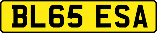 BL65ESA