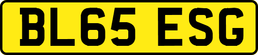 BL65ESG